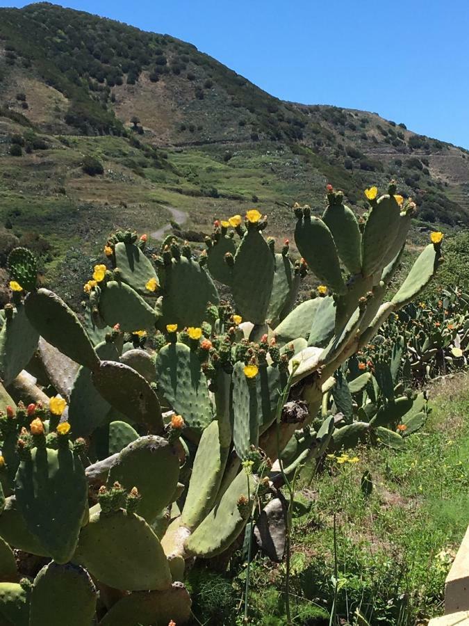 Royal Marina Golf-B Lejlighed San Miguel de Abona Eksteriør billede