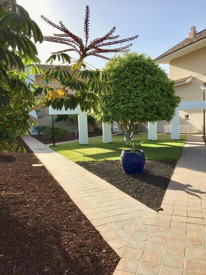 Royal Marina Golf-B Lejlighed San Miguel de Abona Eksteriør billede